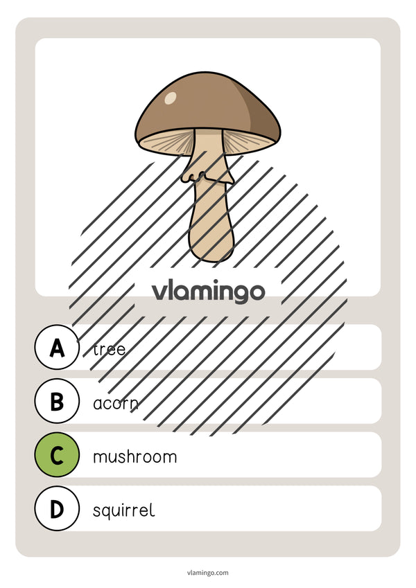 de englisch forest vocabulary quiz 018