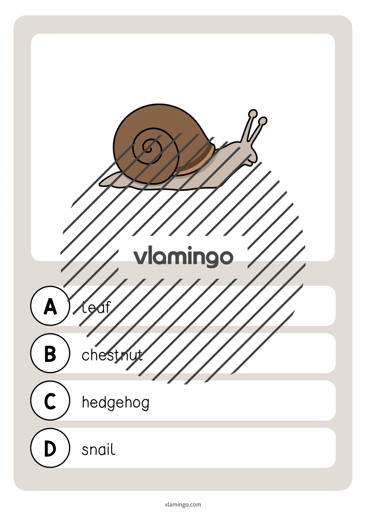 de englisch forest vocabulary quiz 019