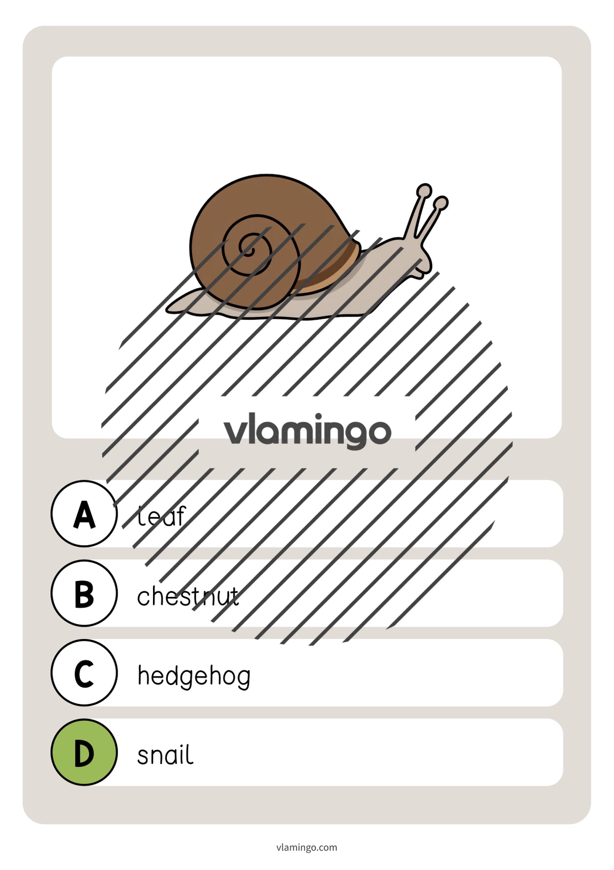 de englisch forest vocabulary quiz 020