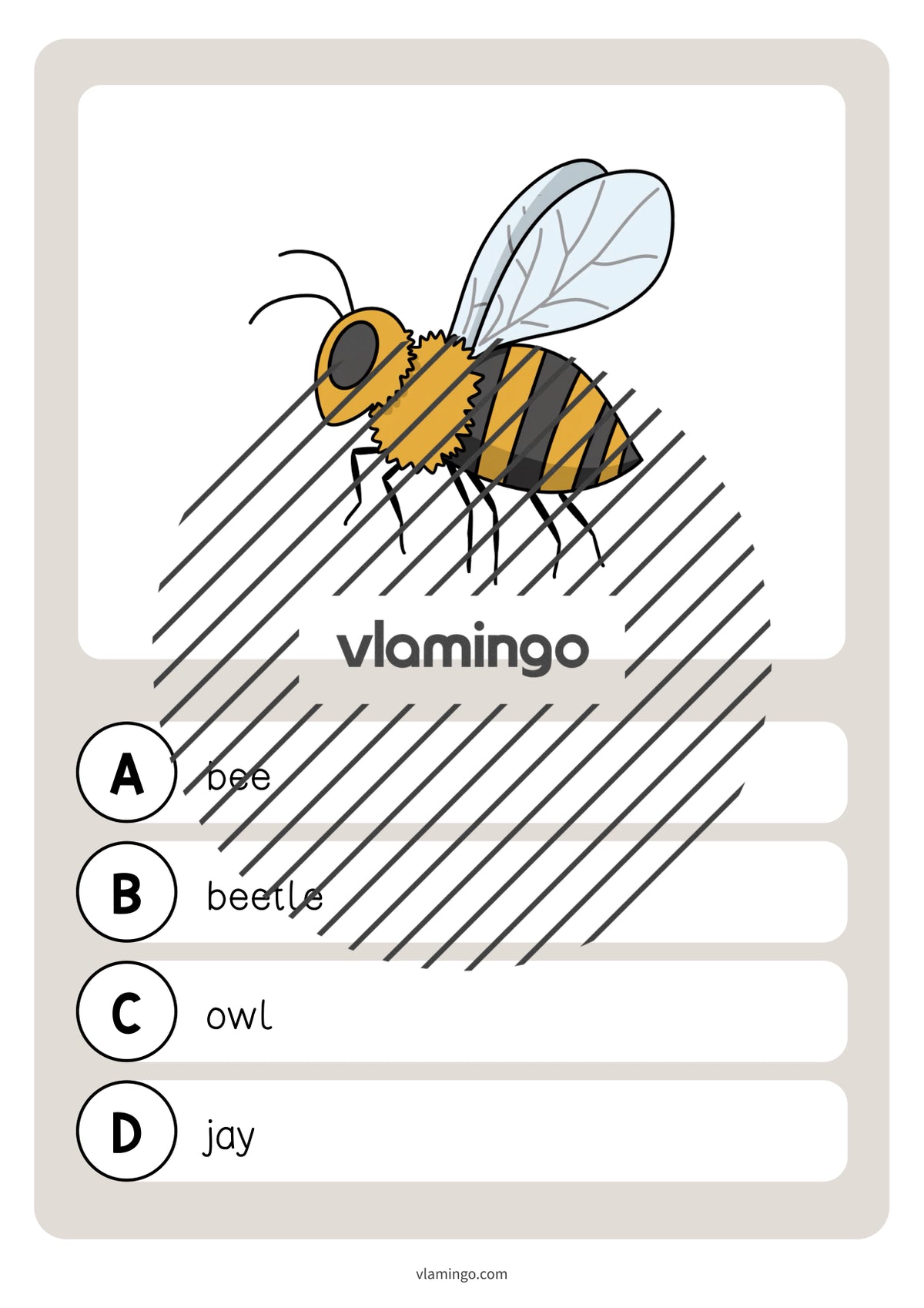 de englisch forest vocabulary quiz 021