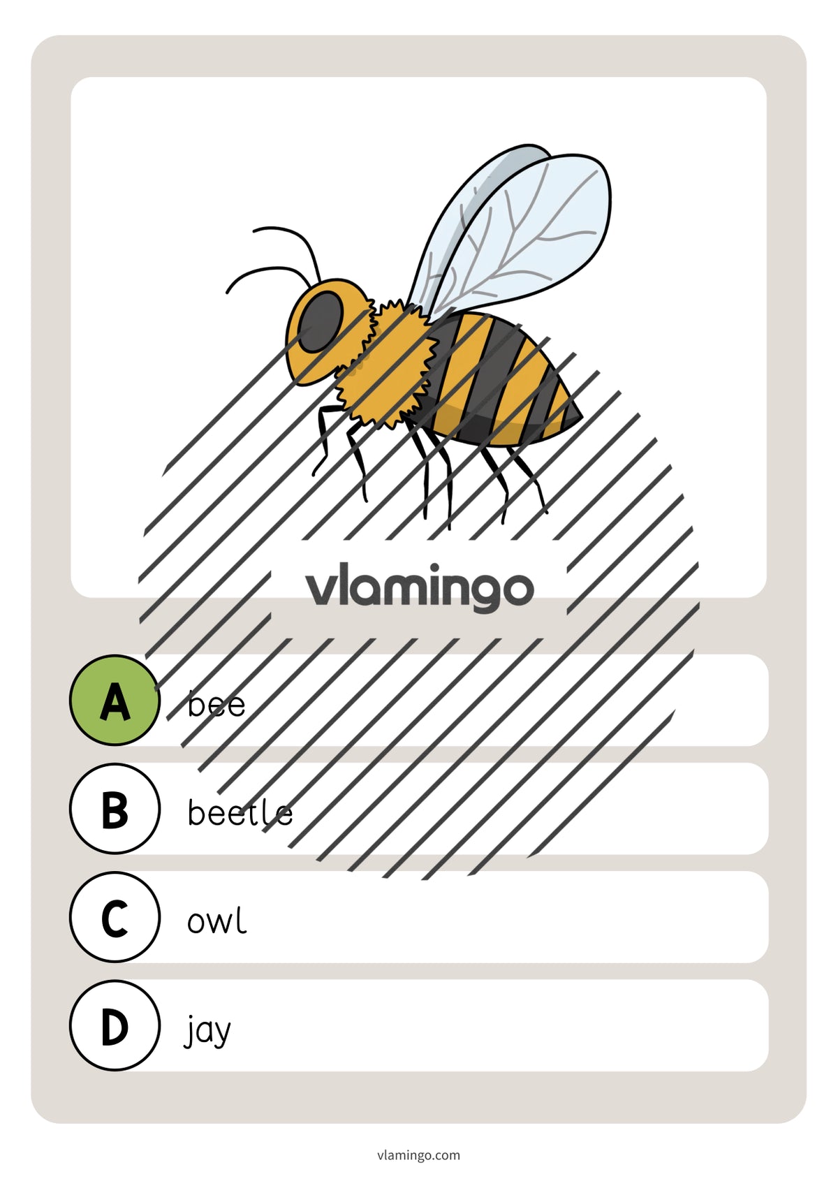 de englisch forest vocabulary quiz 022
