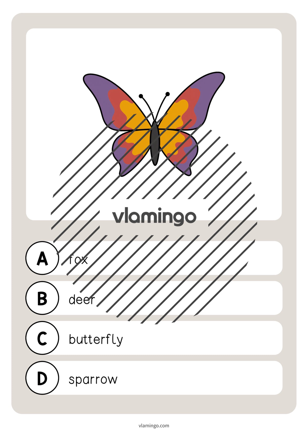 de englisch forest vocabulary quiz 023