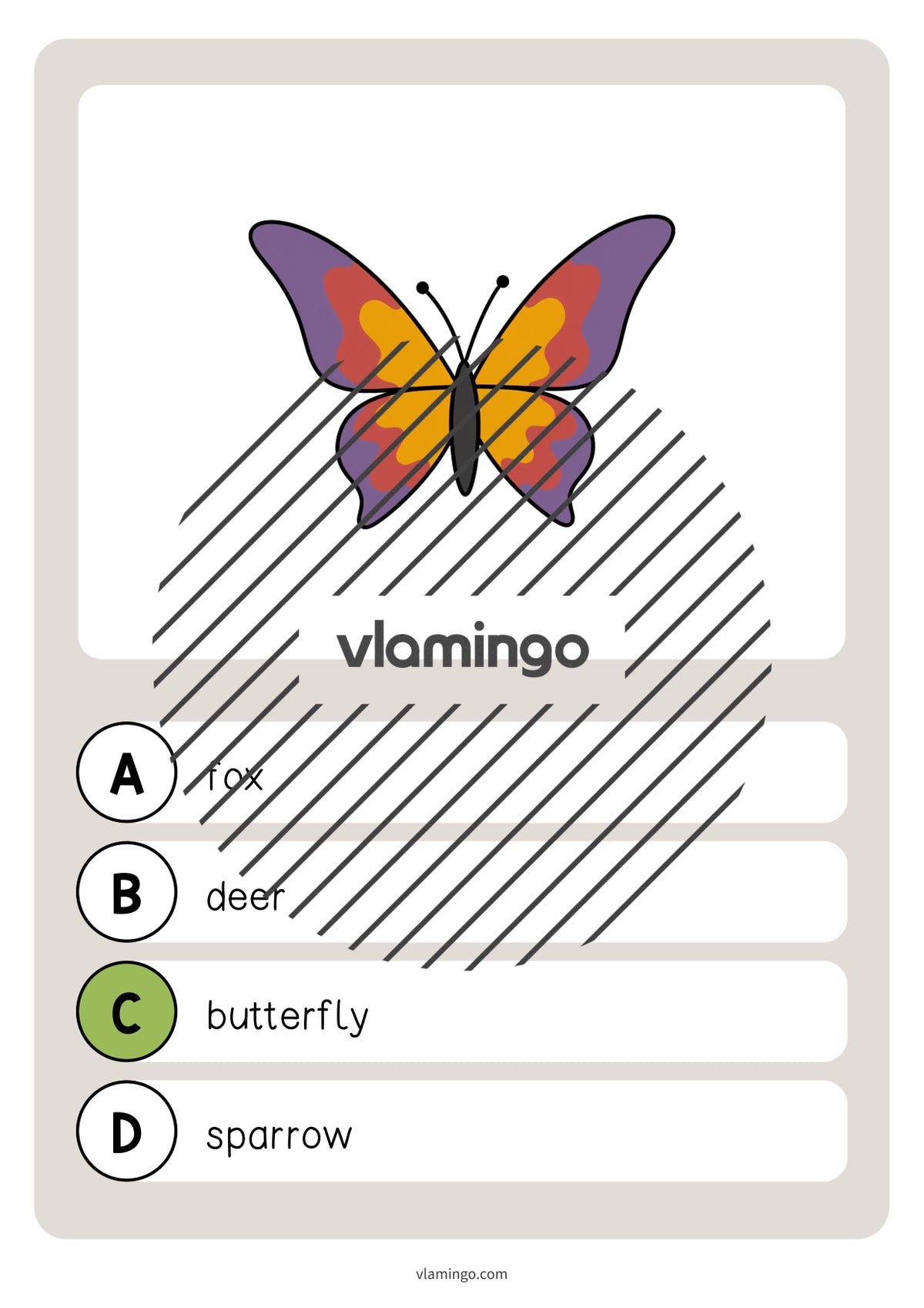 de englisch forest vocabulary quiz 024