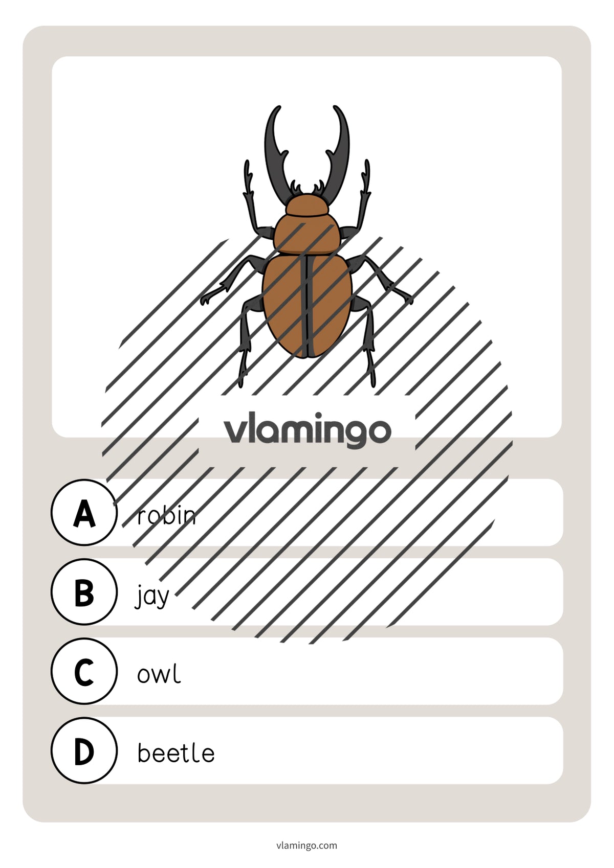 de englisch forest vocabulary quiz 025