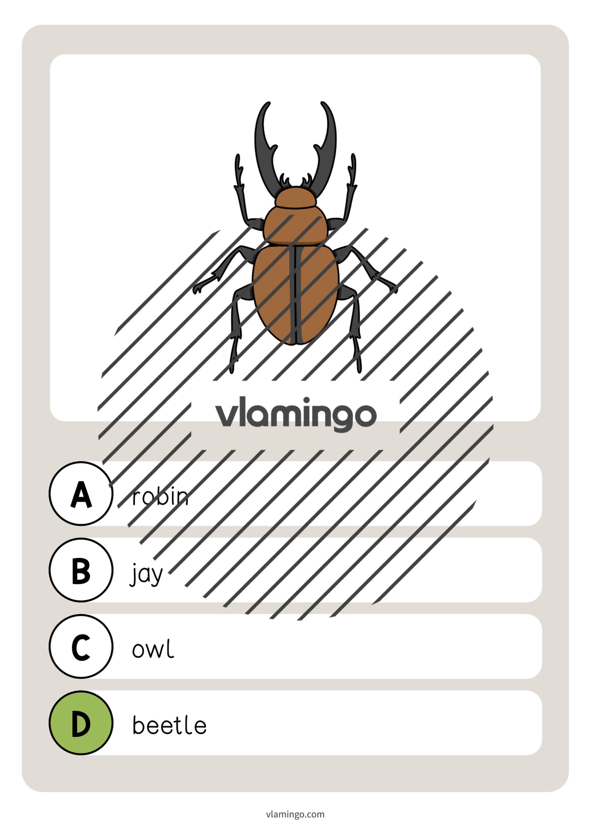de englisch forest vocabulary quiz 026