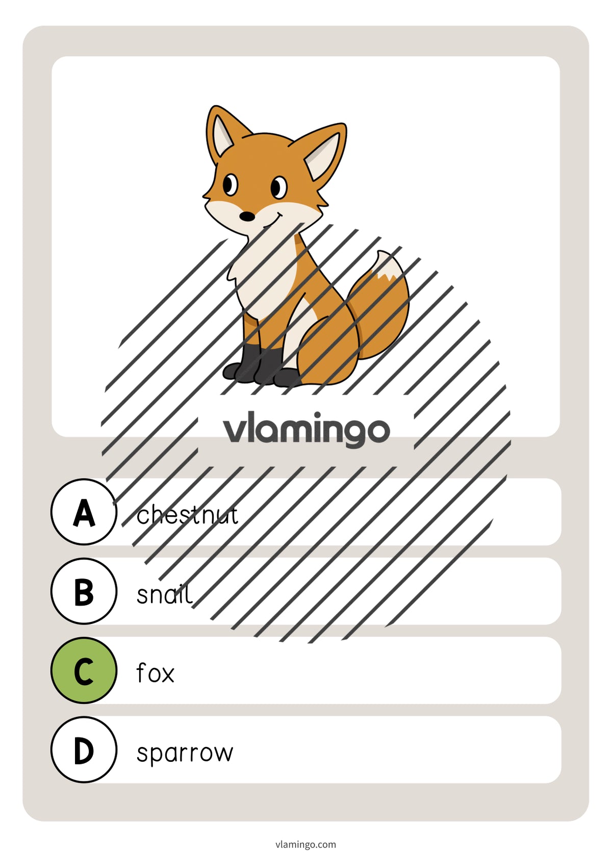 de englisch forest vocabulary quiz 028