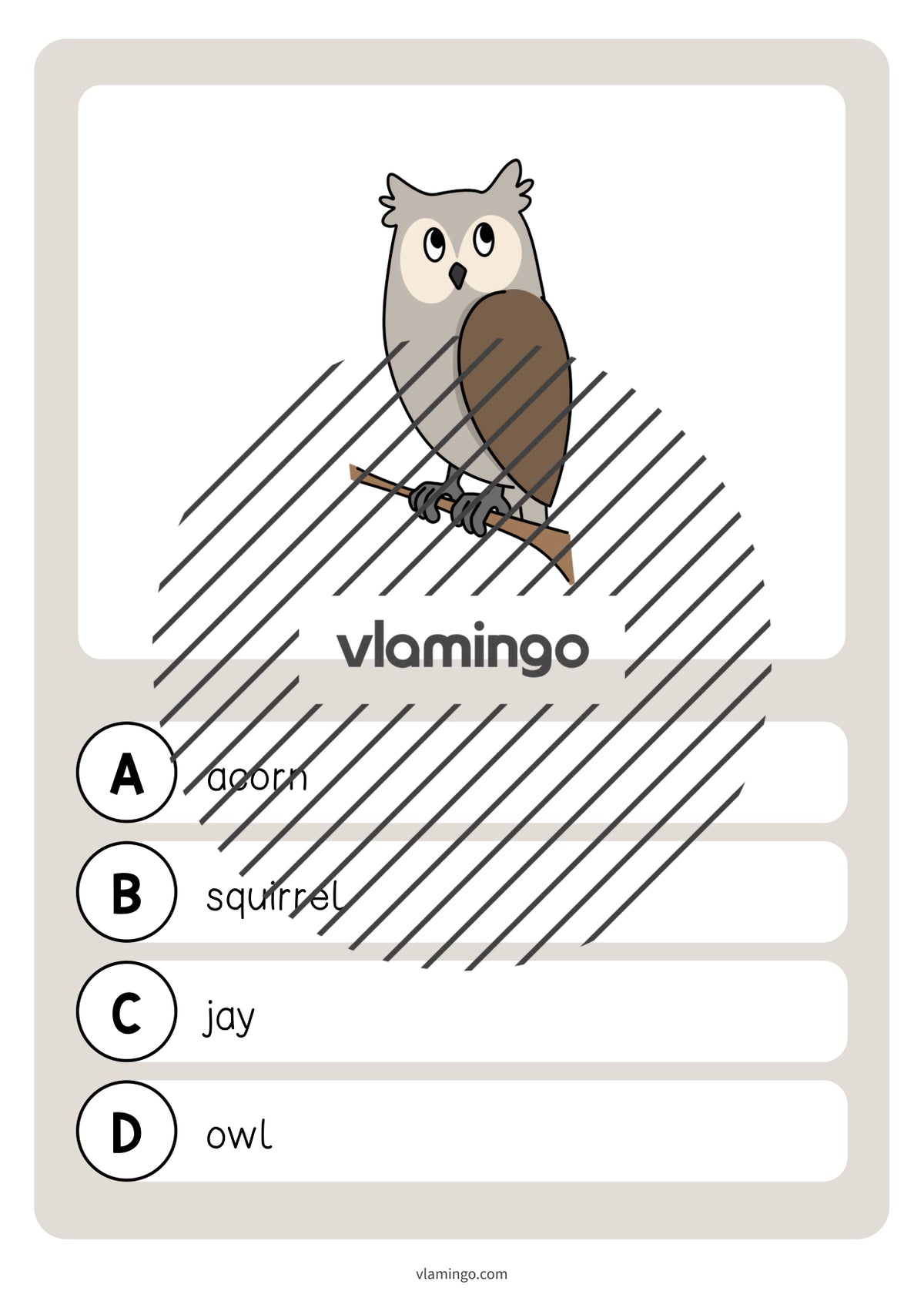 de englisch forest vocabulary quiz 029