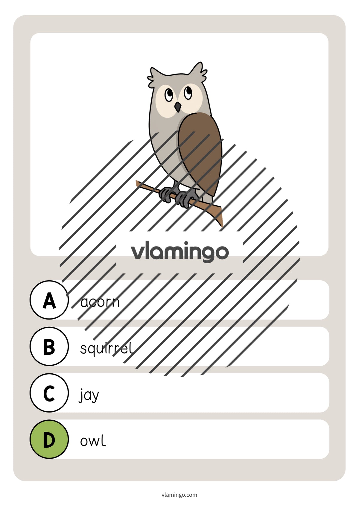 de englisch forest vocabulary quiz 030