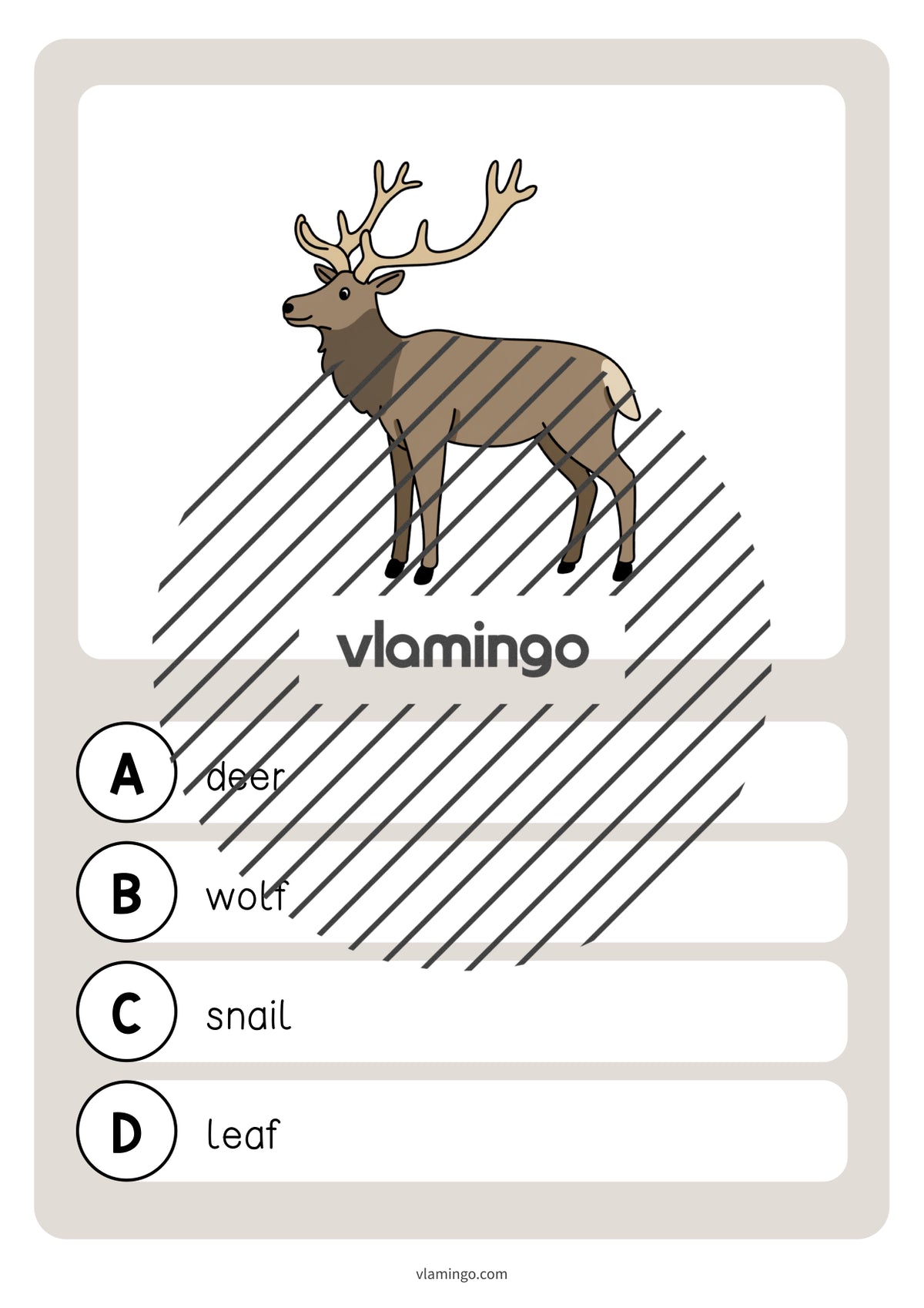 de englisch forest vocabulary quiz 031