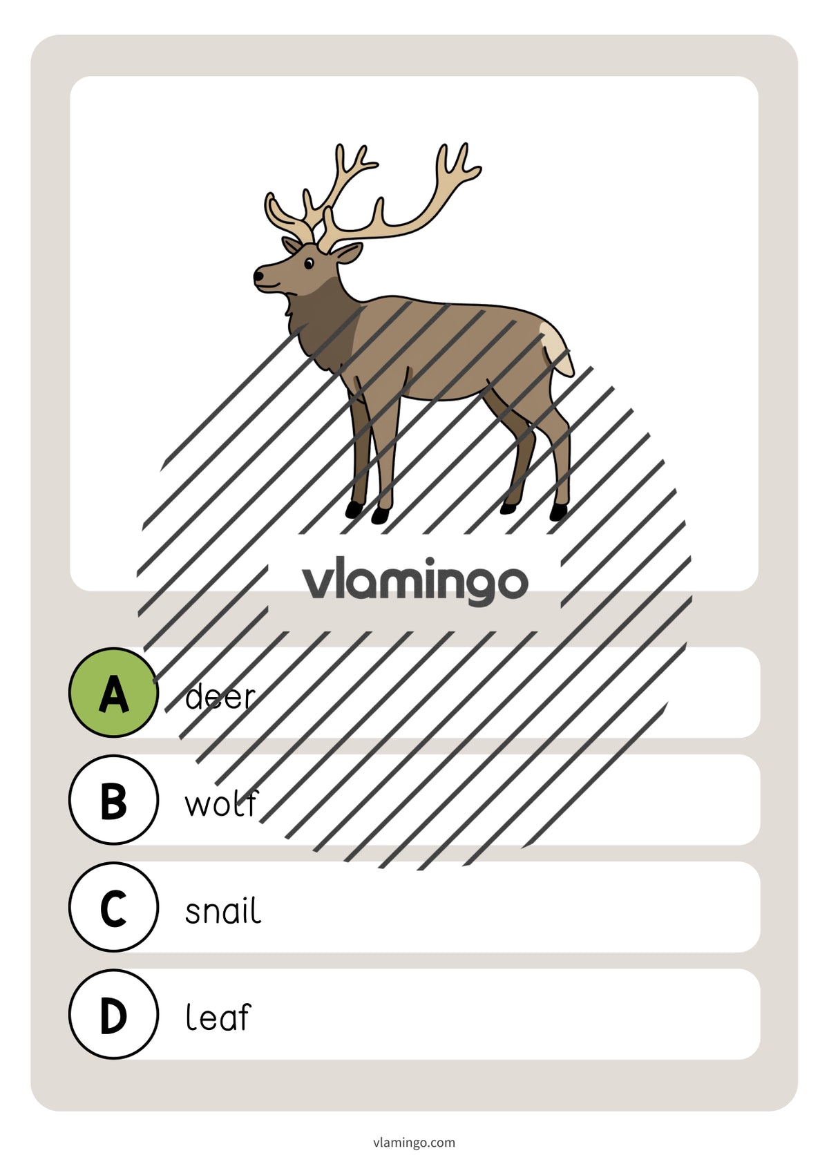 de englisch forest vocabulary quiz 032