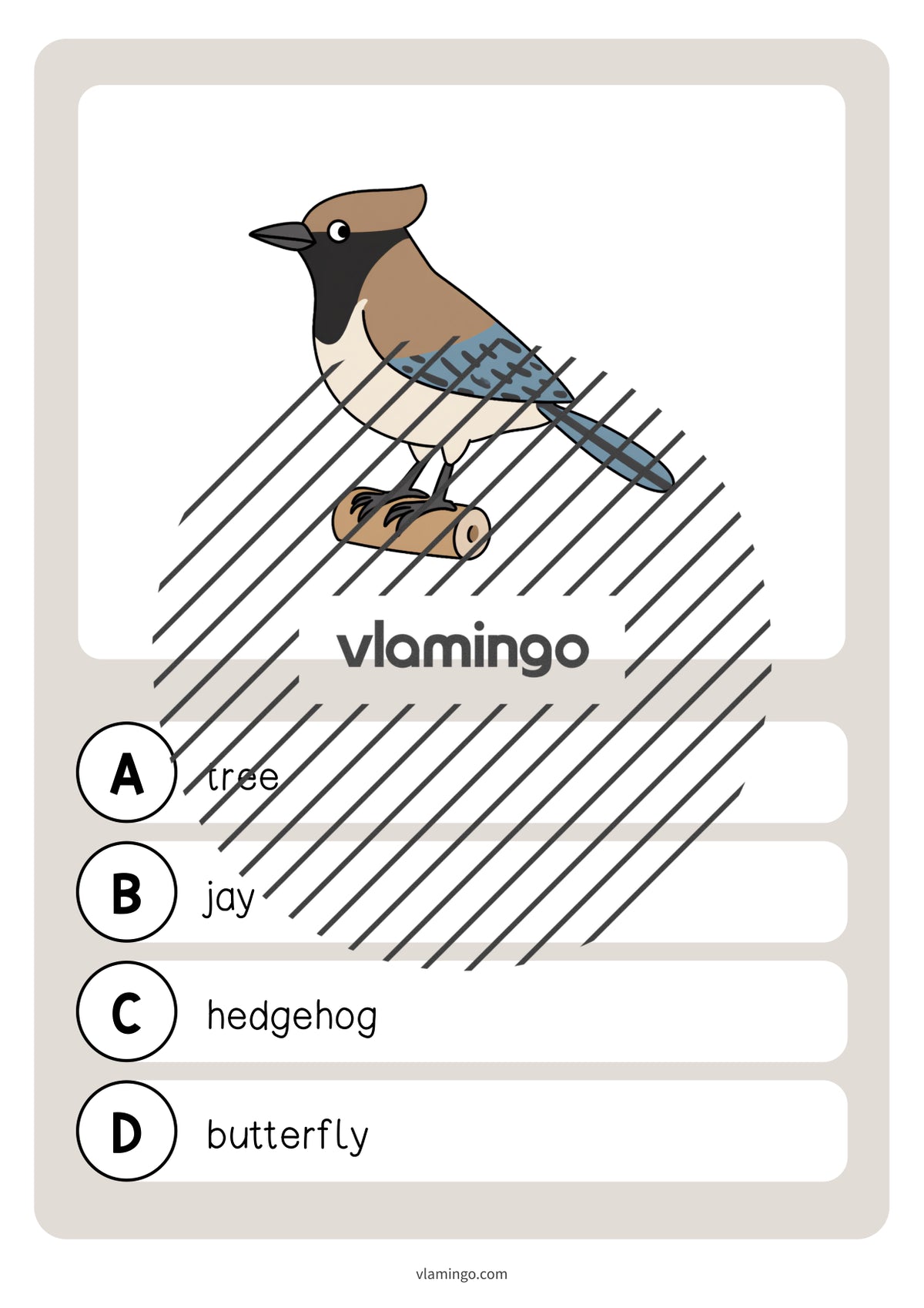 de englisch forest vocabulary quiz 033