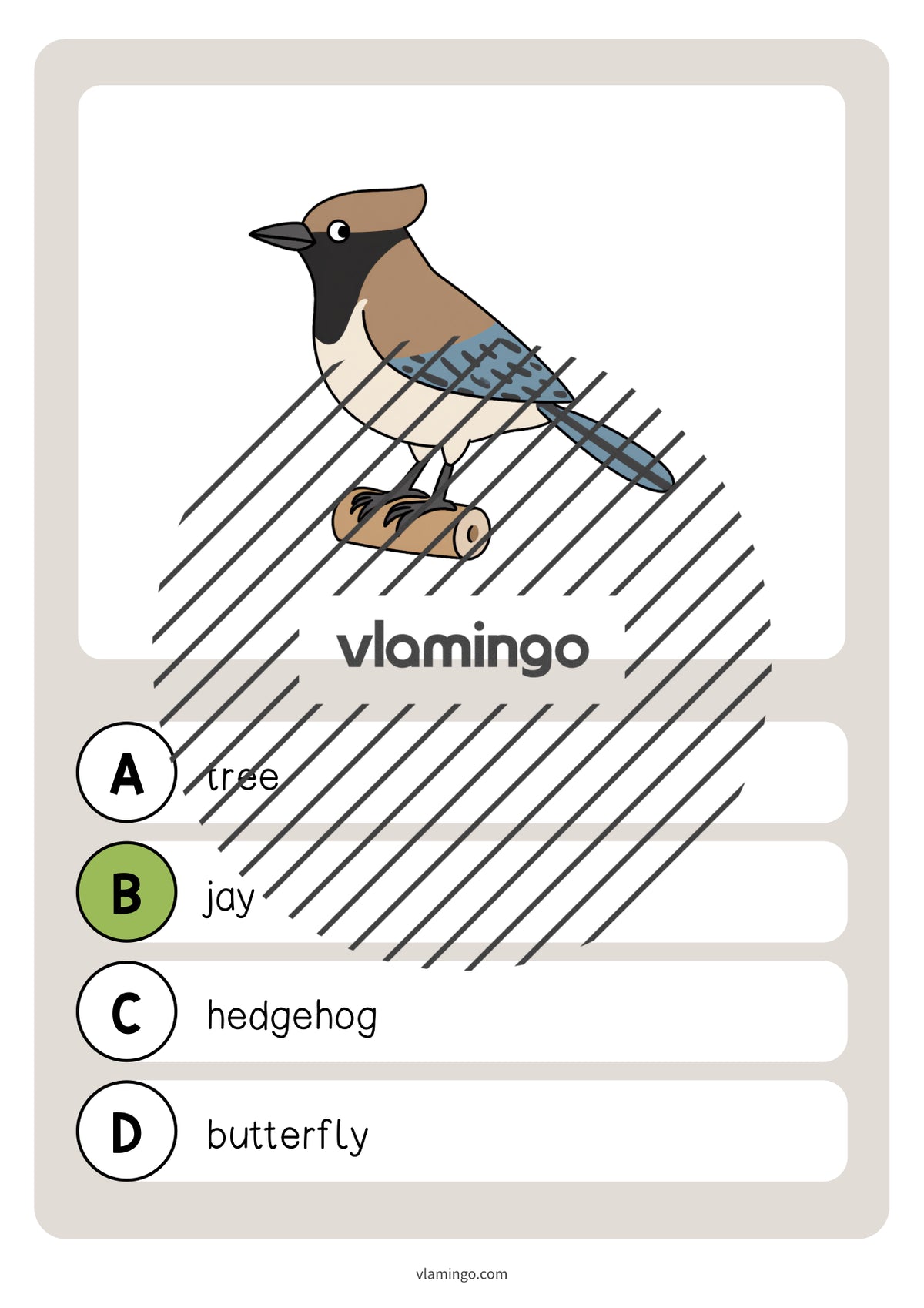de englisch forest vocabulary quiz 034
