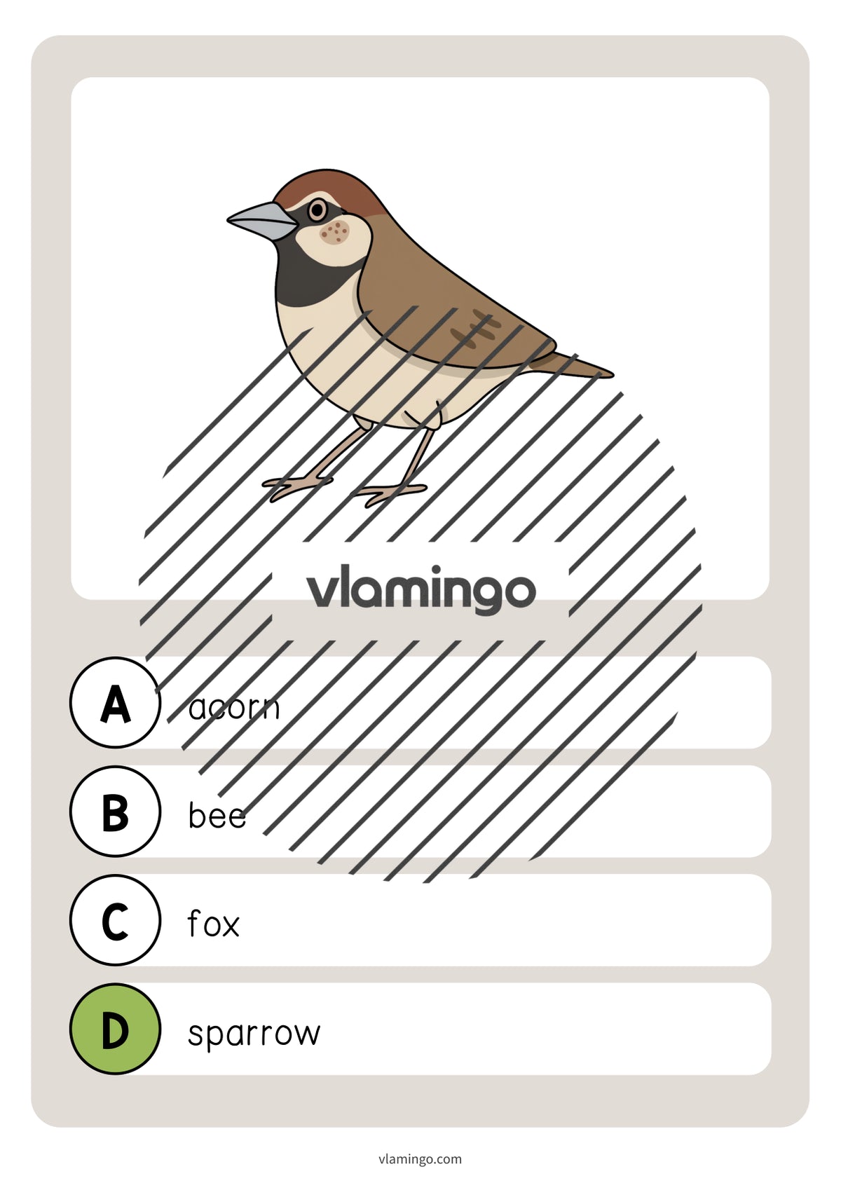 de englisch forest vocabulary quiz 036