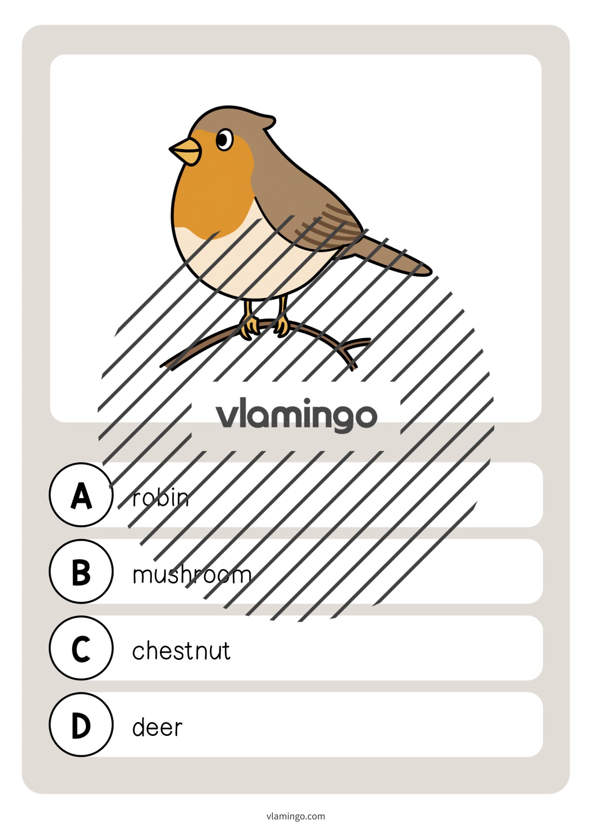 de englisch forest vocabulary quiz 037