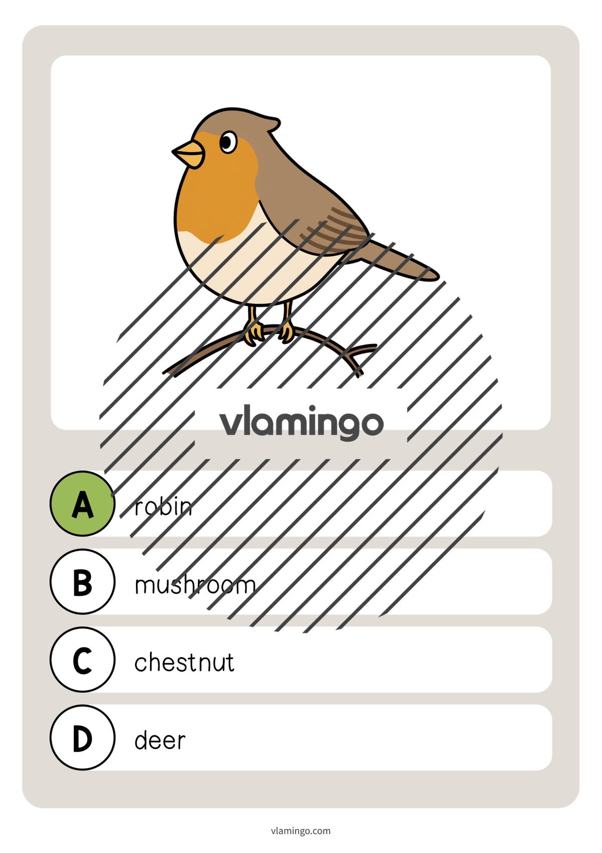 de englisch forest vocabulary quiz 038