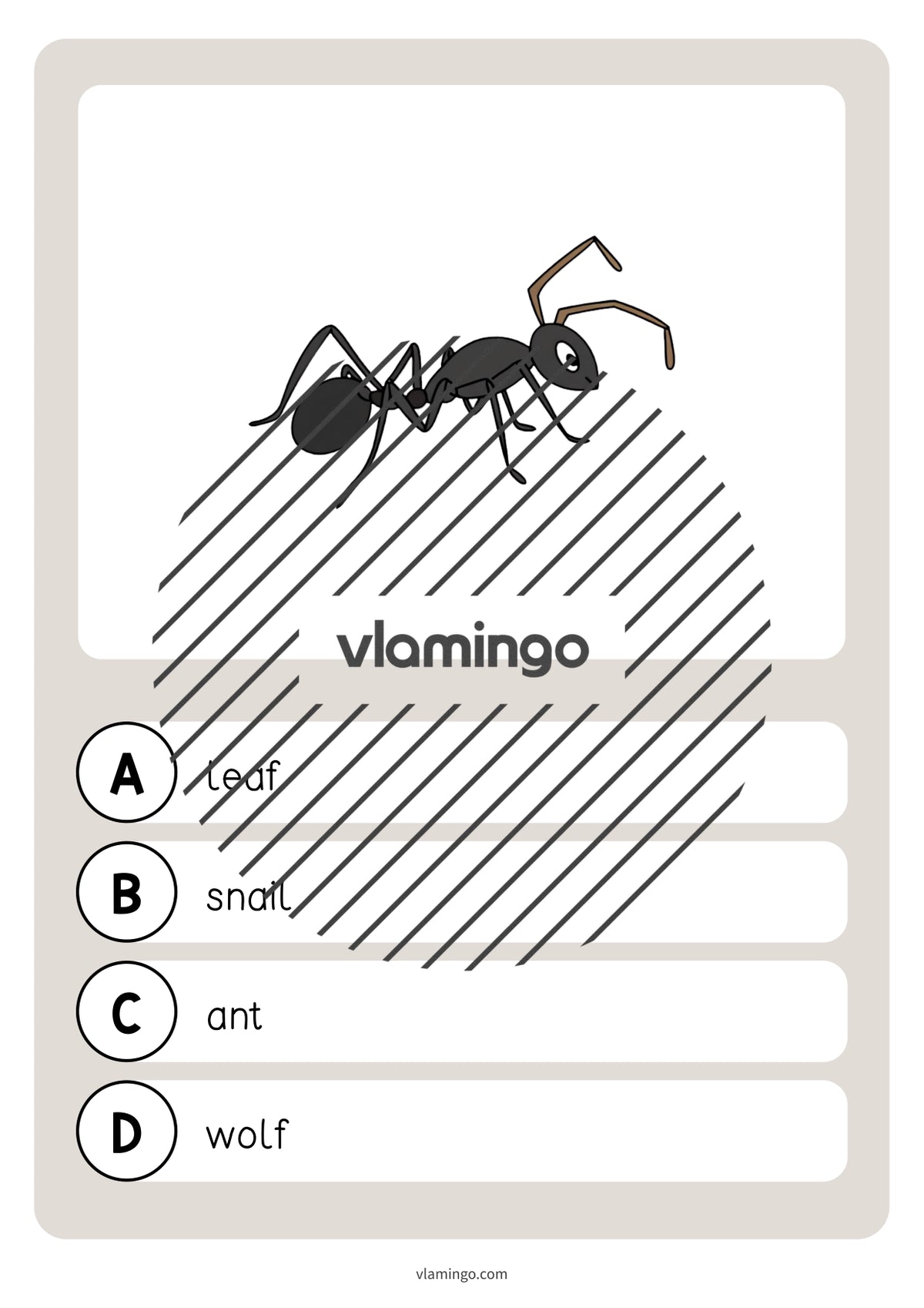 de englisch forest vocabulary quiz 039