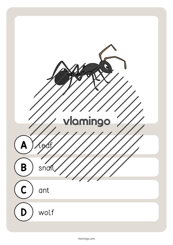 de englisch forest vocabulary quiz 039