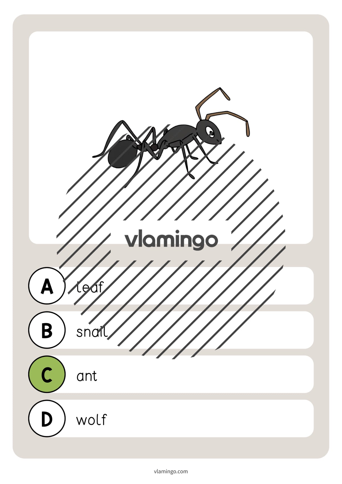 de englisch forest vocabulary quiz 040