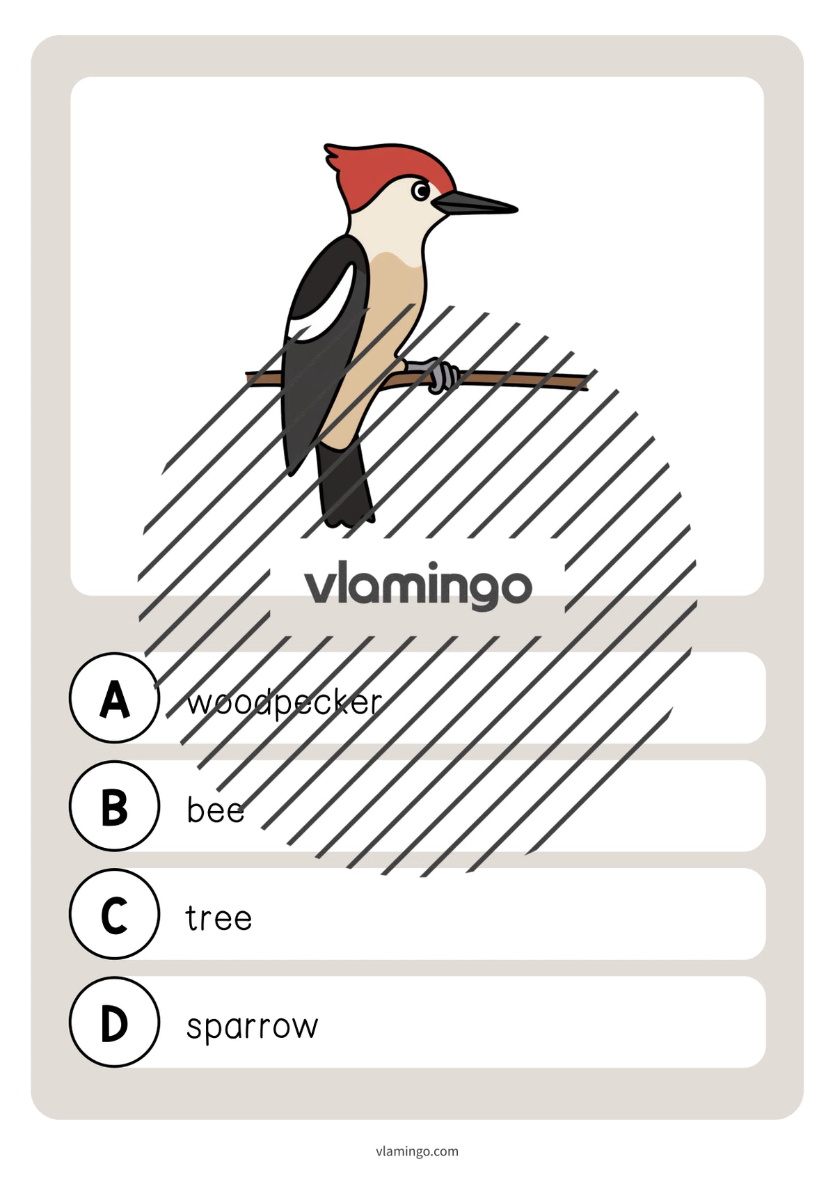 de englisch forest vocabulary quiz 041