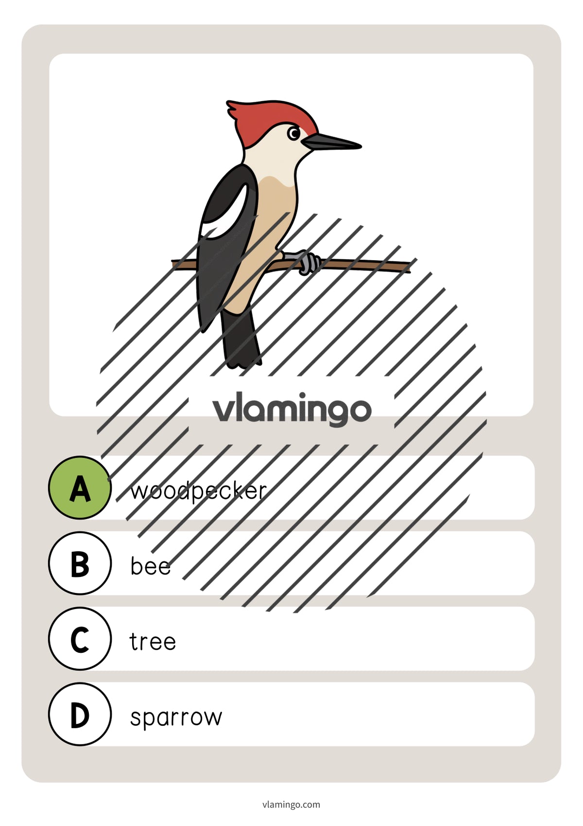 de englisch forest vocabulary quiz 042