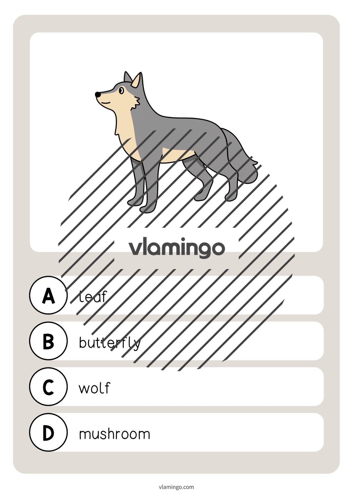de englisch forest vocabulary quiz 043