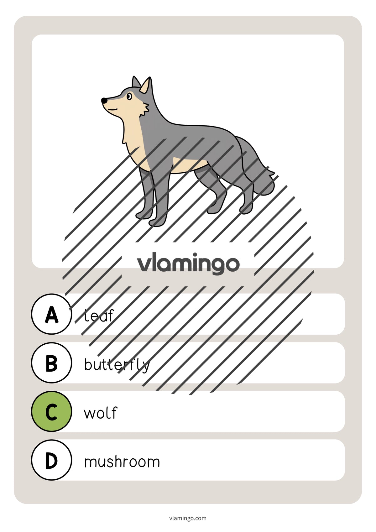 de englisch forest vocabulary quiz 044