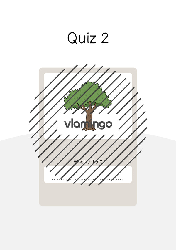 de englisch forest vocabulary quiz 045