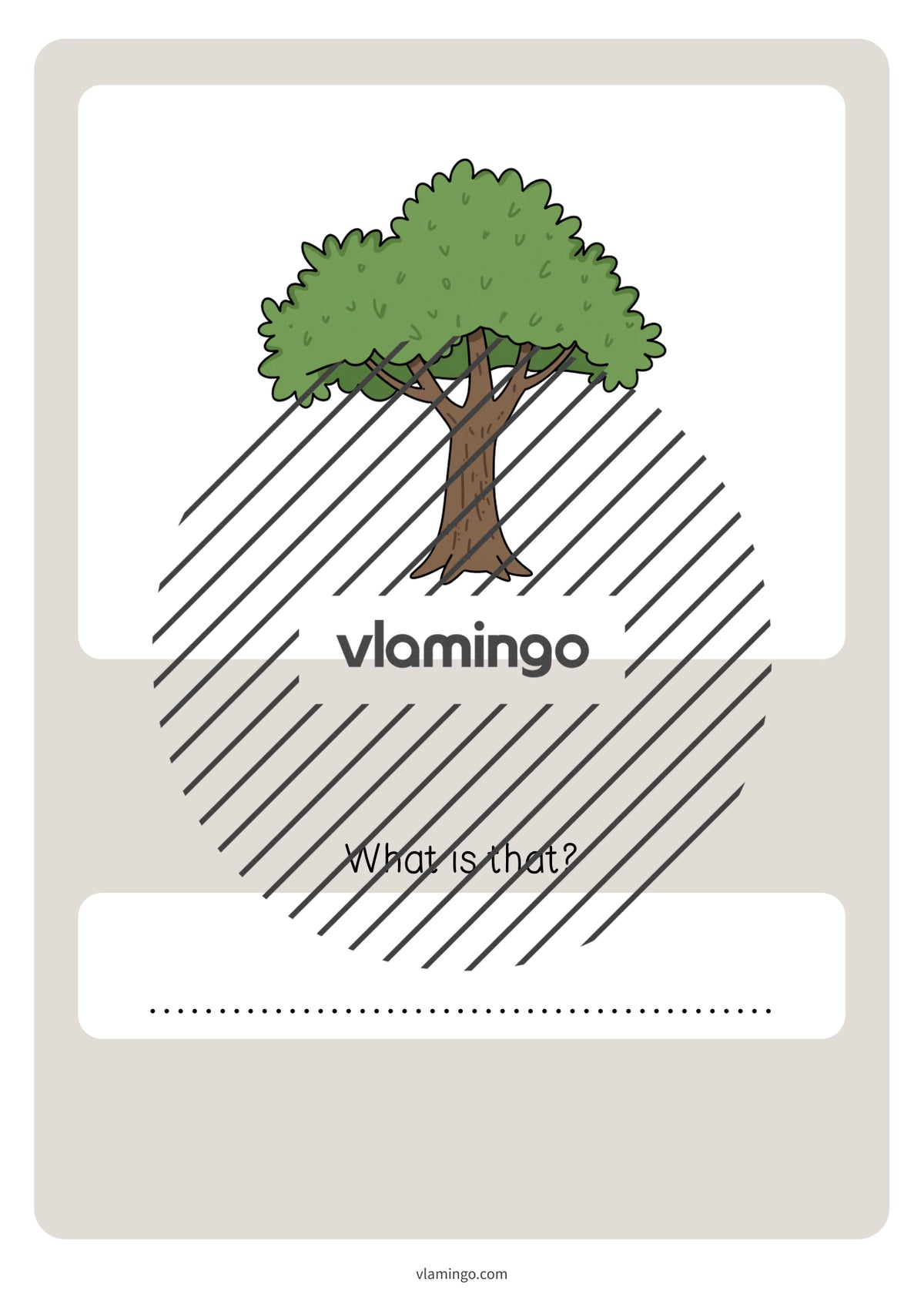 de englisch forest vocabulary quiz 046