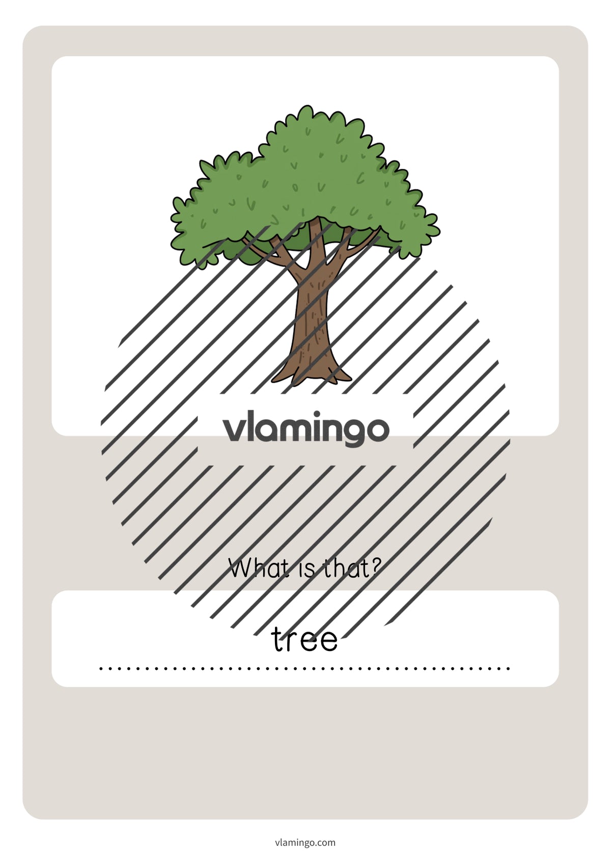 de englisch forest vocabulary quiz 047