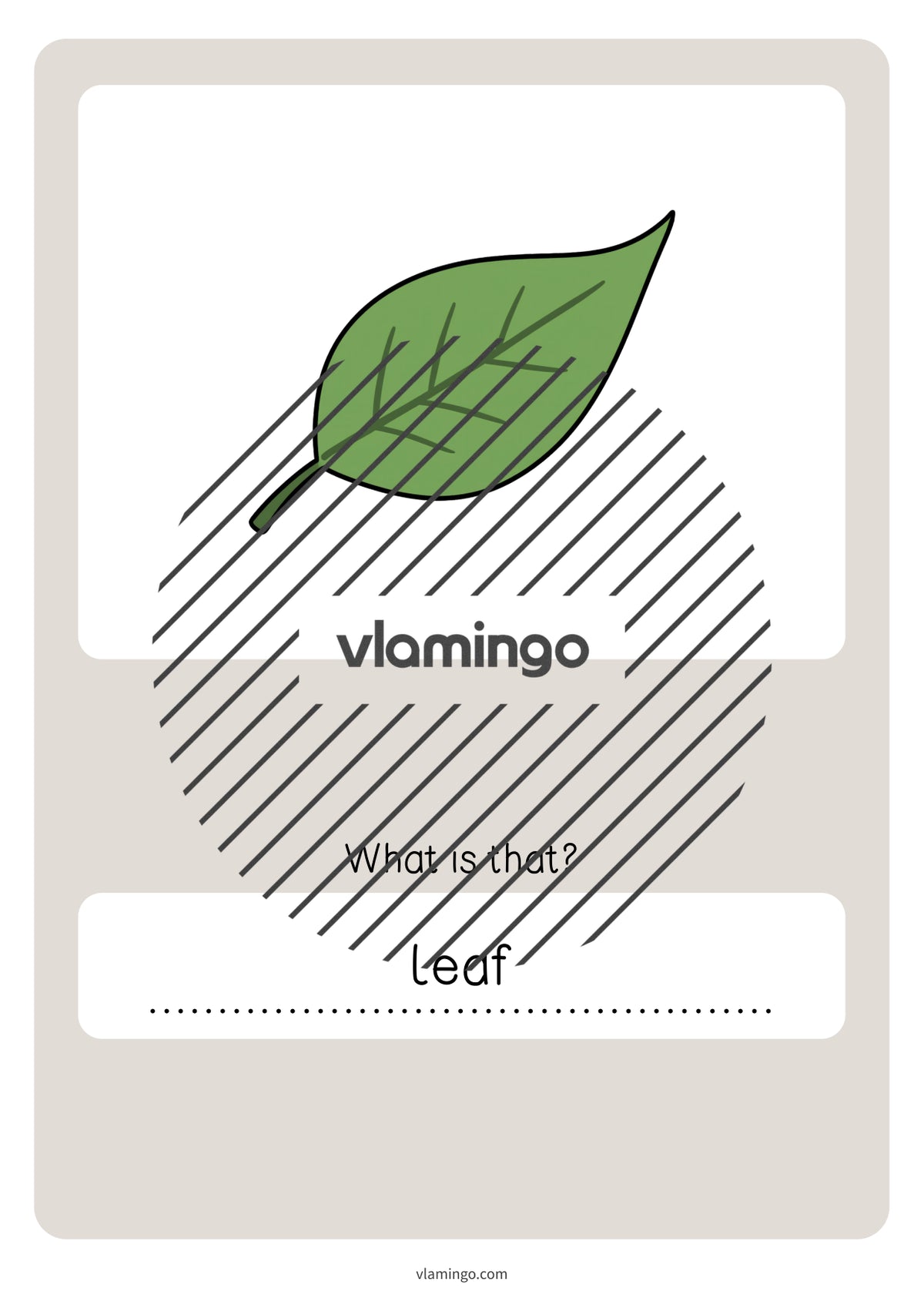 de englisch forest vocabulary quiz 049