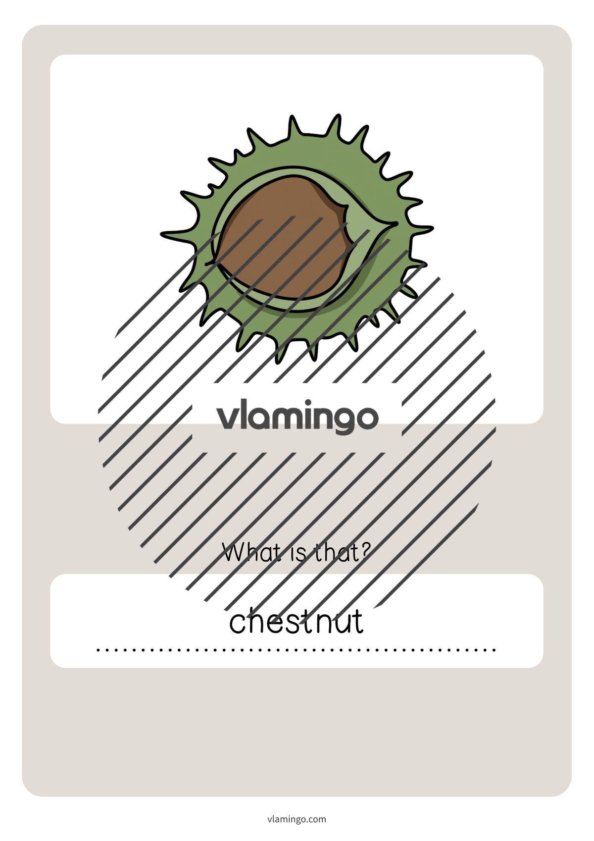 de englisch forest vocabulary quiz 053
