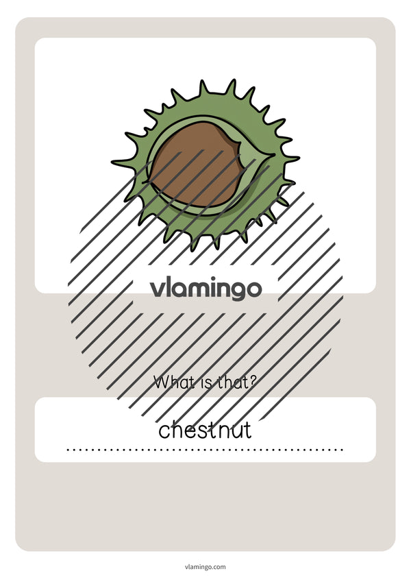 de englisch forest vocabulary quiz 053