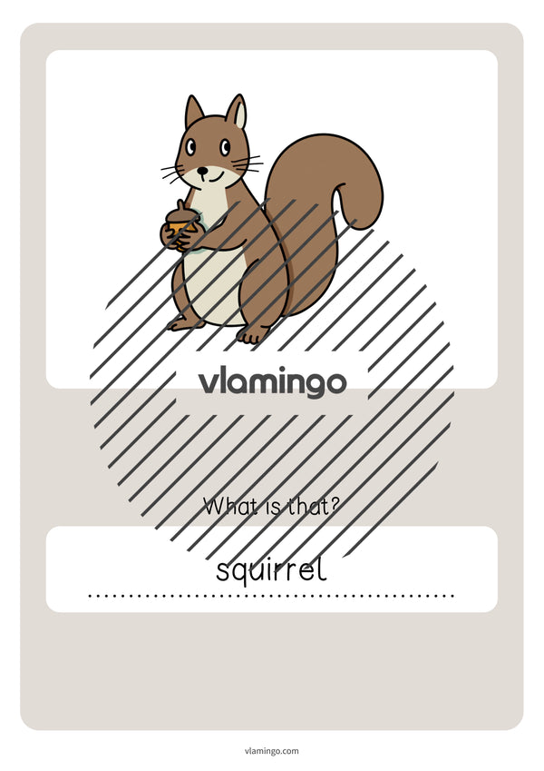 de englisch forest vocabulary quiz 055