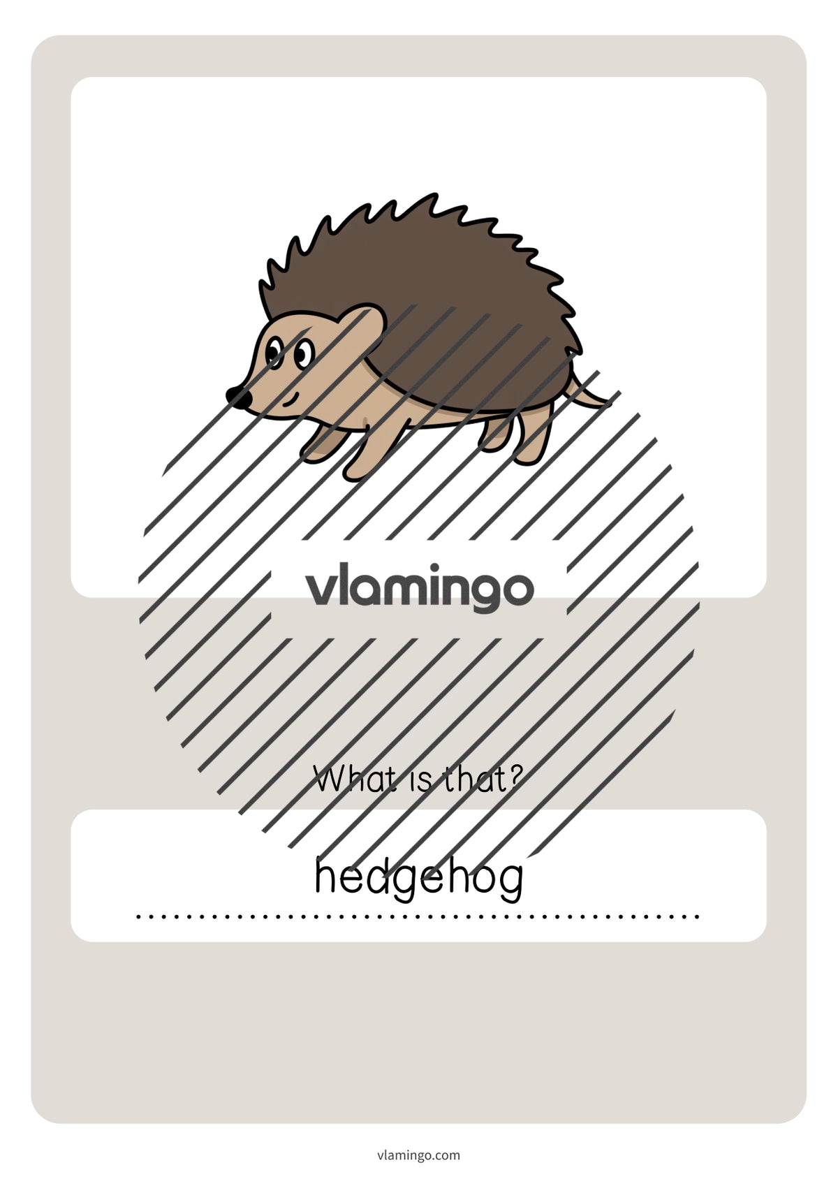 de englisch forest vocabulary quiz 057