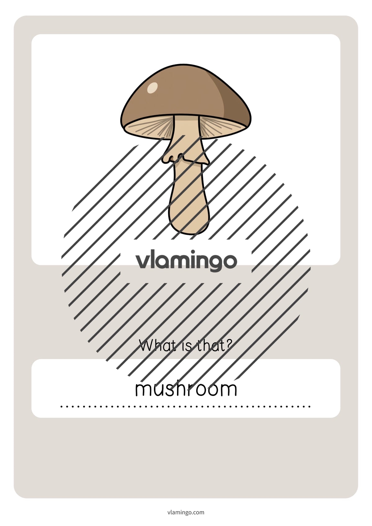 de englisch forest vocabulary quiz 059