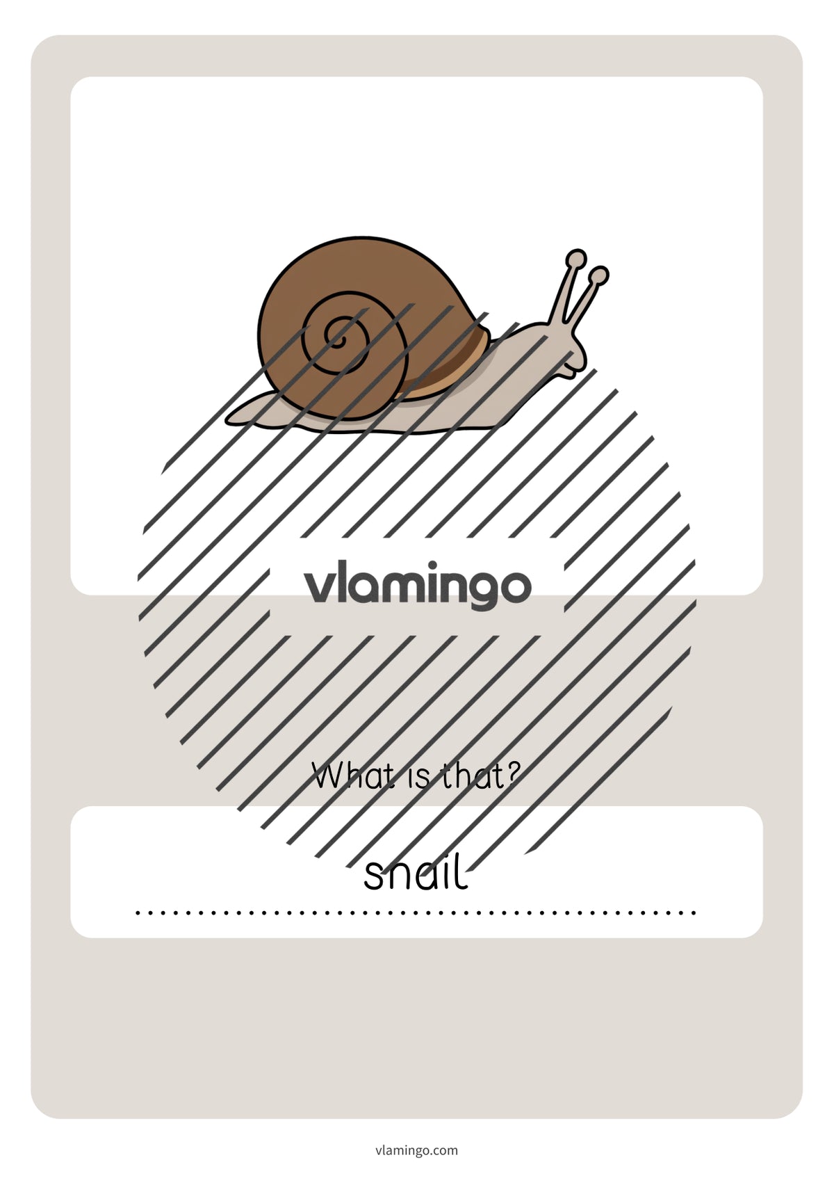 de englisch forest vocabulary quiz 061