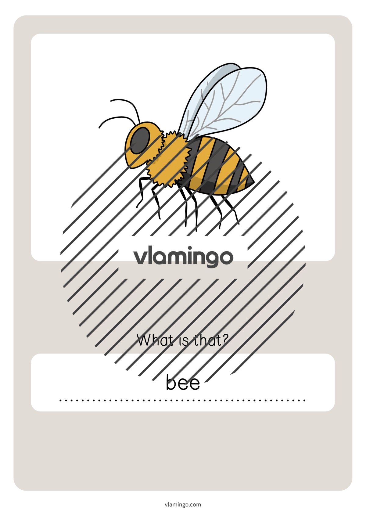 de englisch forest vocabulary quiz 063