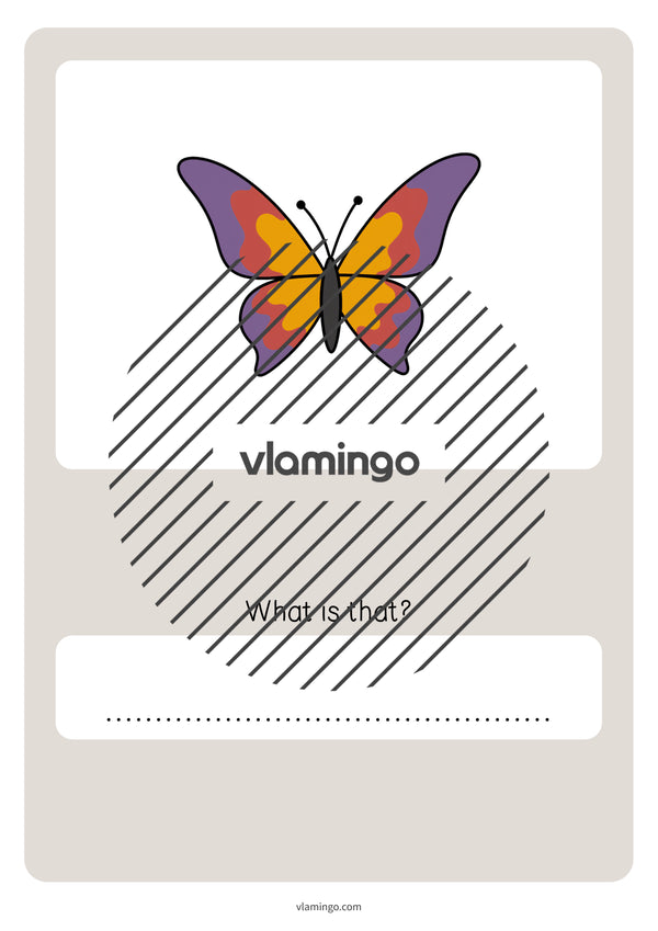 de englisch forest vocabulary quiz 064