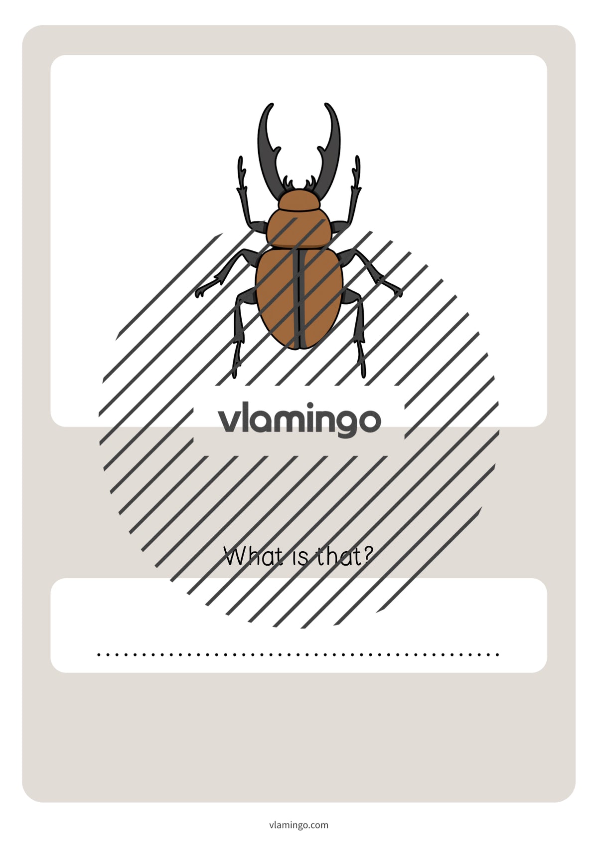 de englisch forest vocabulary quiz 066