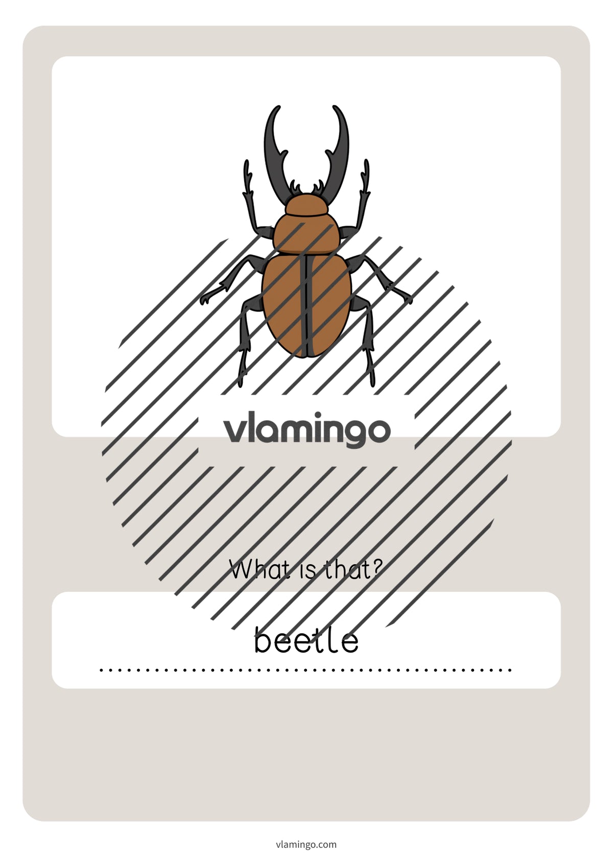 de englisch forest vocabulary quiz 067