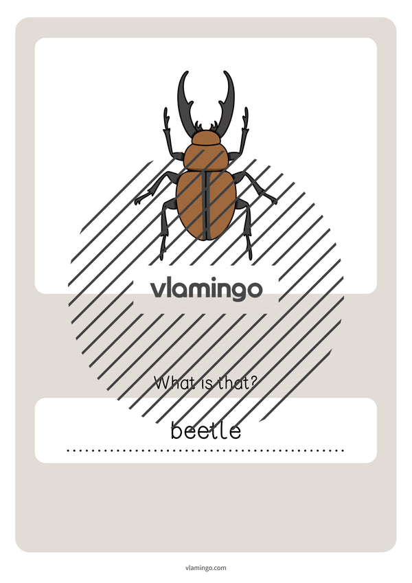 de englisch forest vocabulary quiz 067