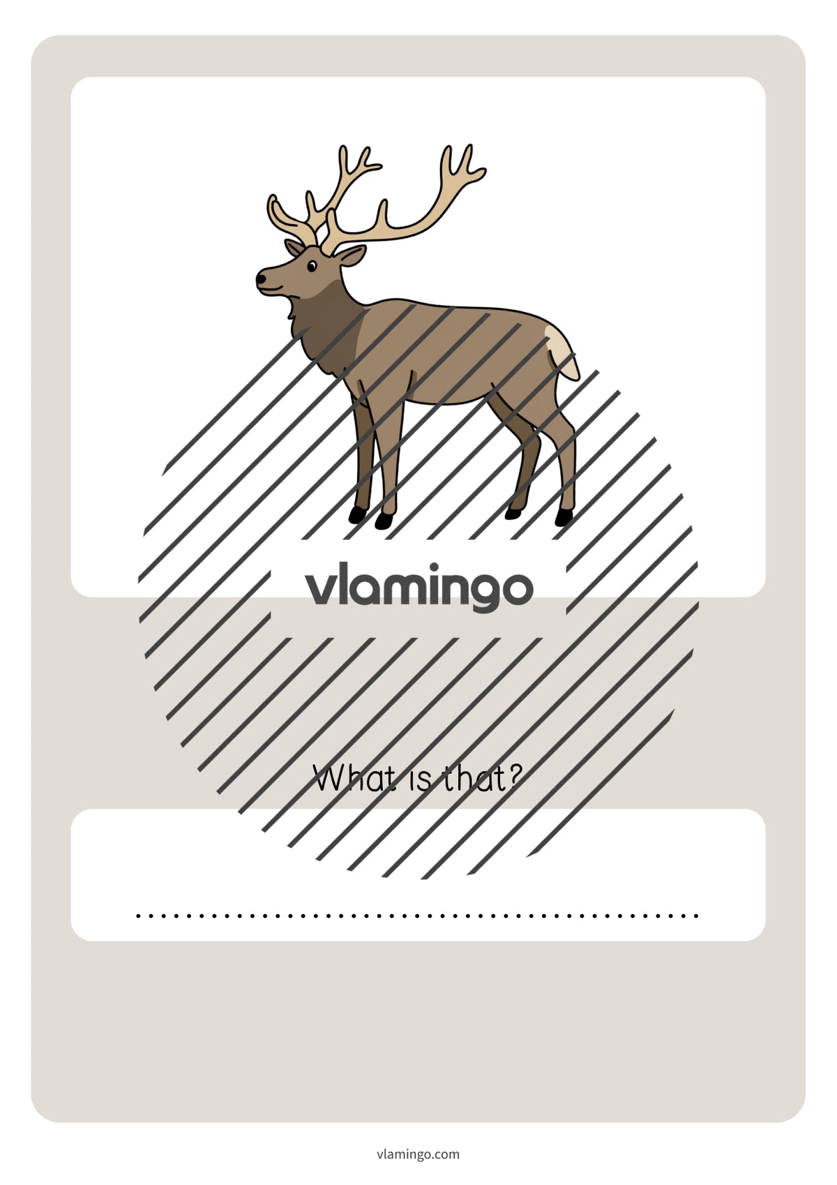 de englisch forest vocabulary quiz 072
