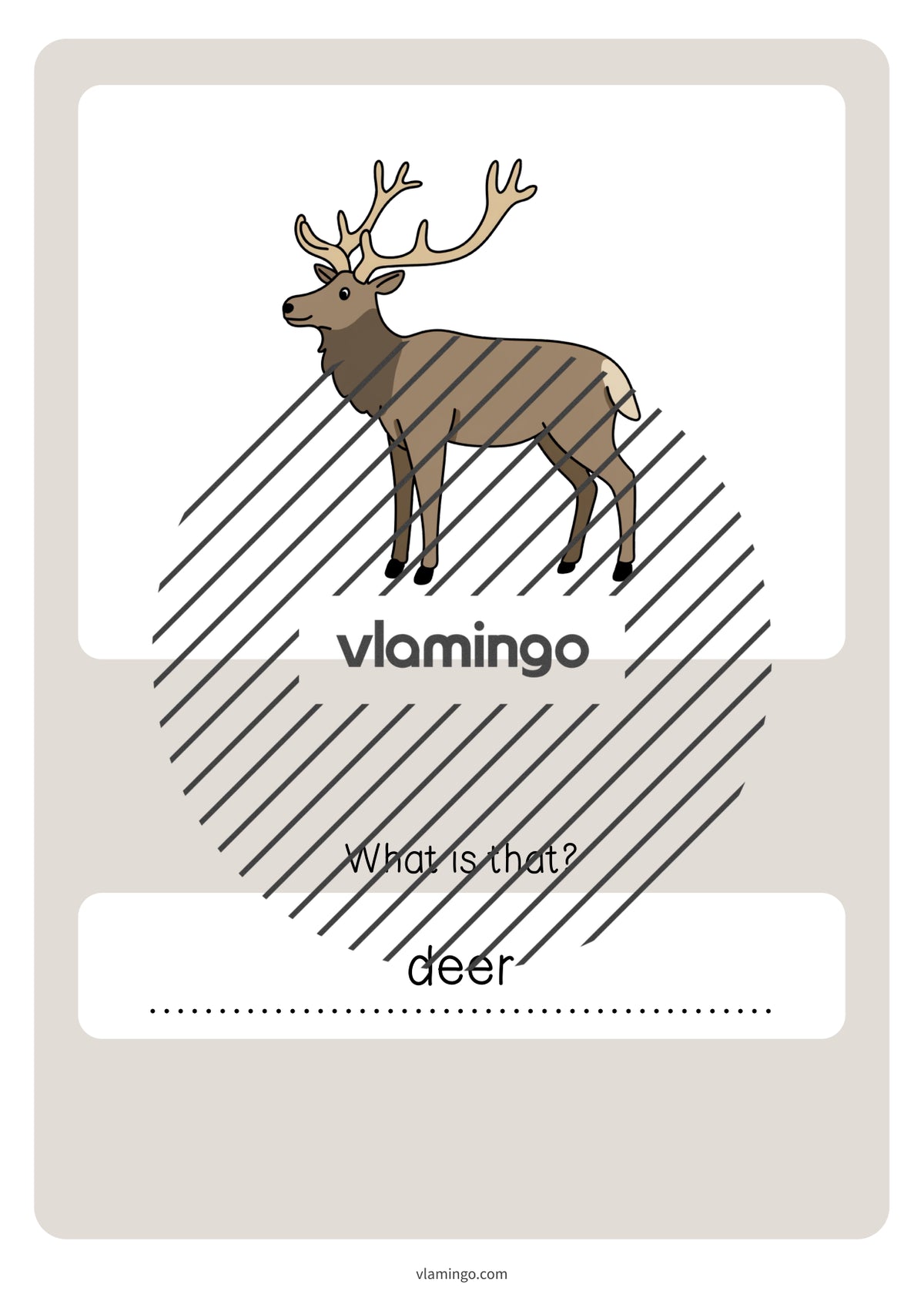 de englisch forest vocabulary quiz 073