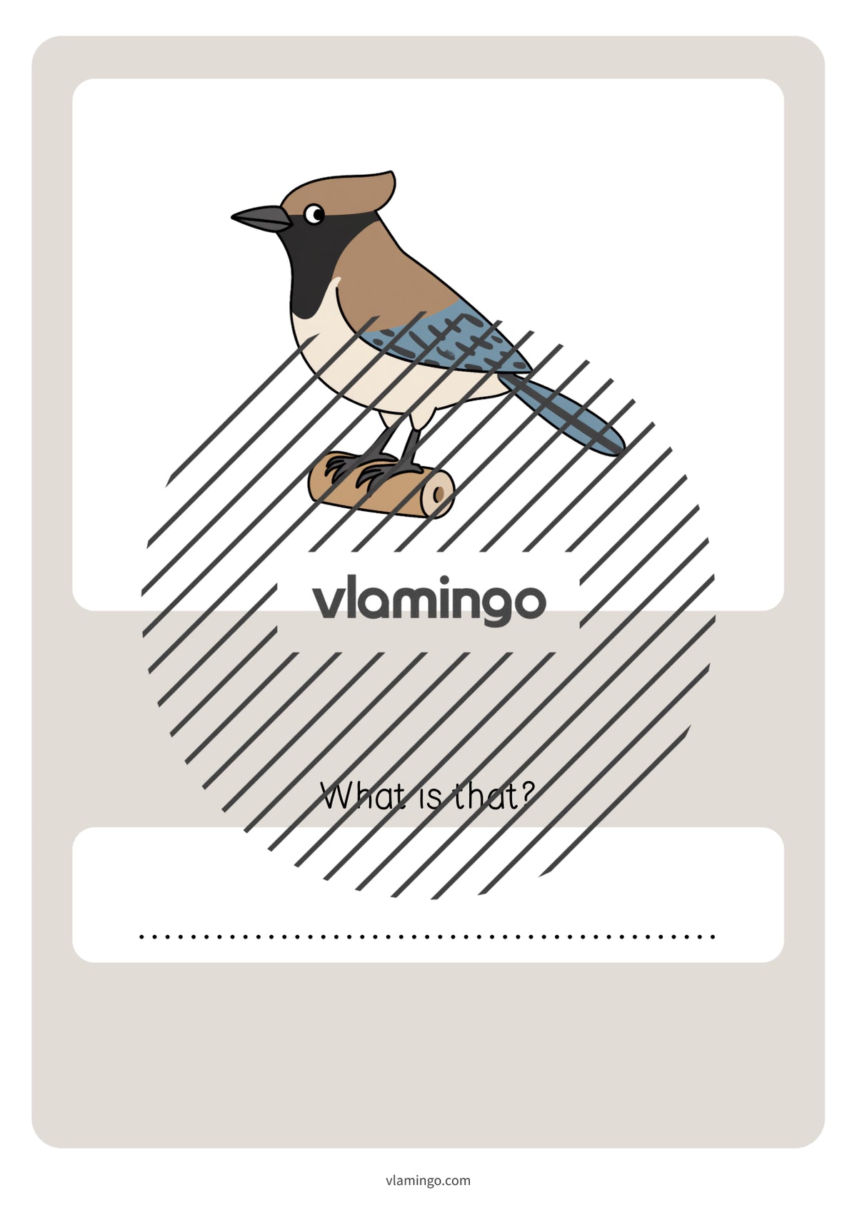de englisch forest vocabulary quiz 074