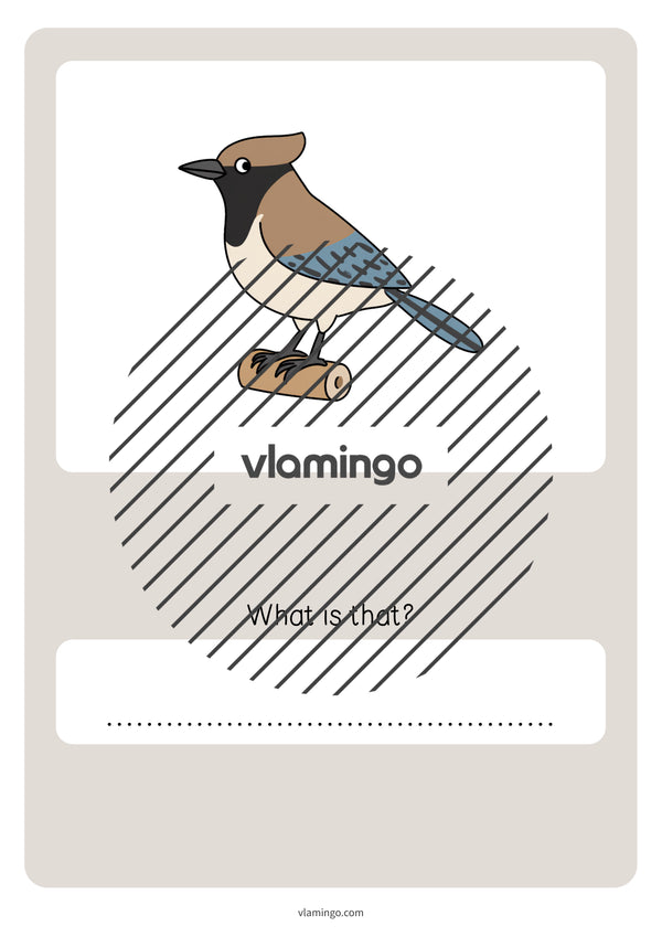 de englisch forest vocabulary quiz 074