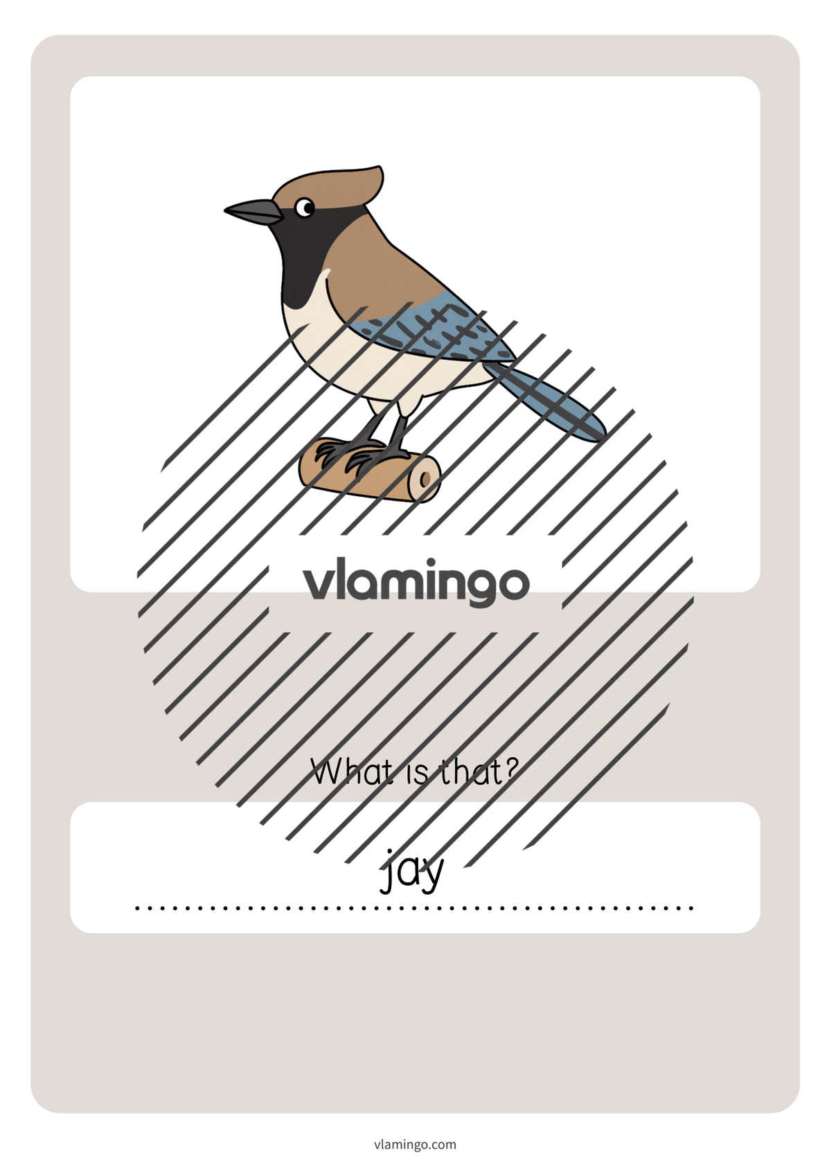 de englisch forest vocabulary quiz 075