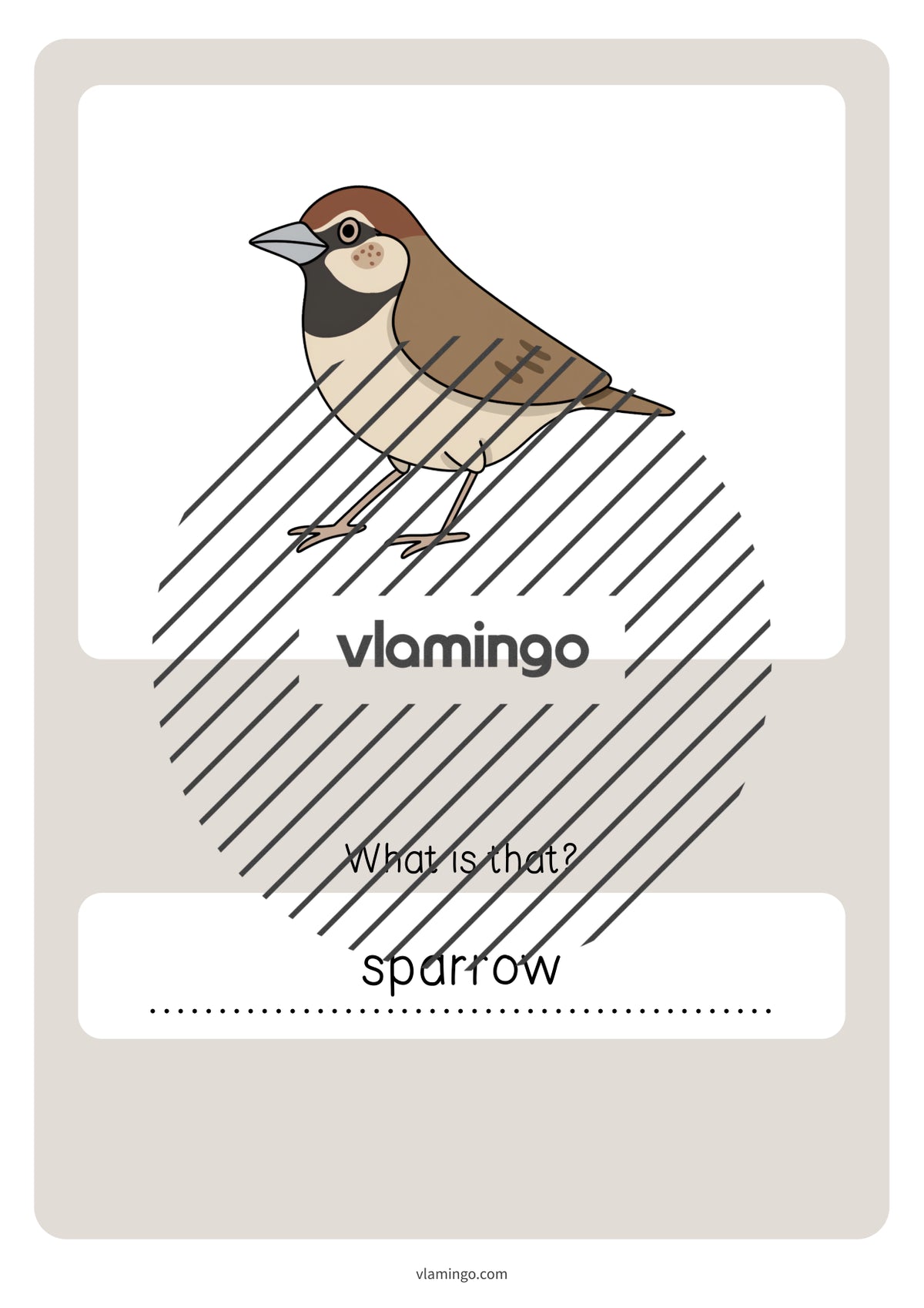 de englisch forest vocabulary quiz 077