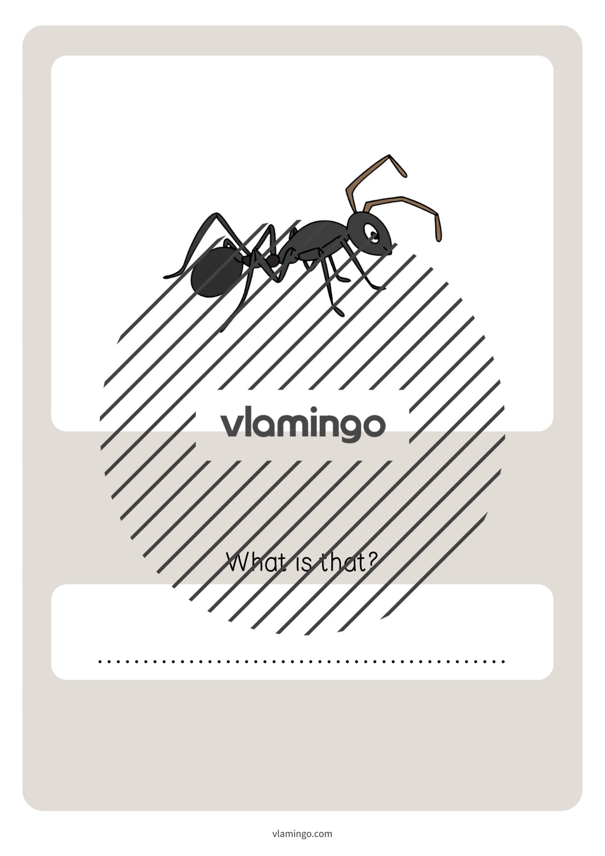 de englisch forest vocabulary quiz 080
