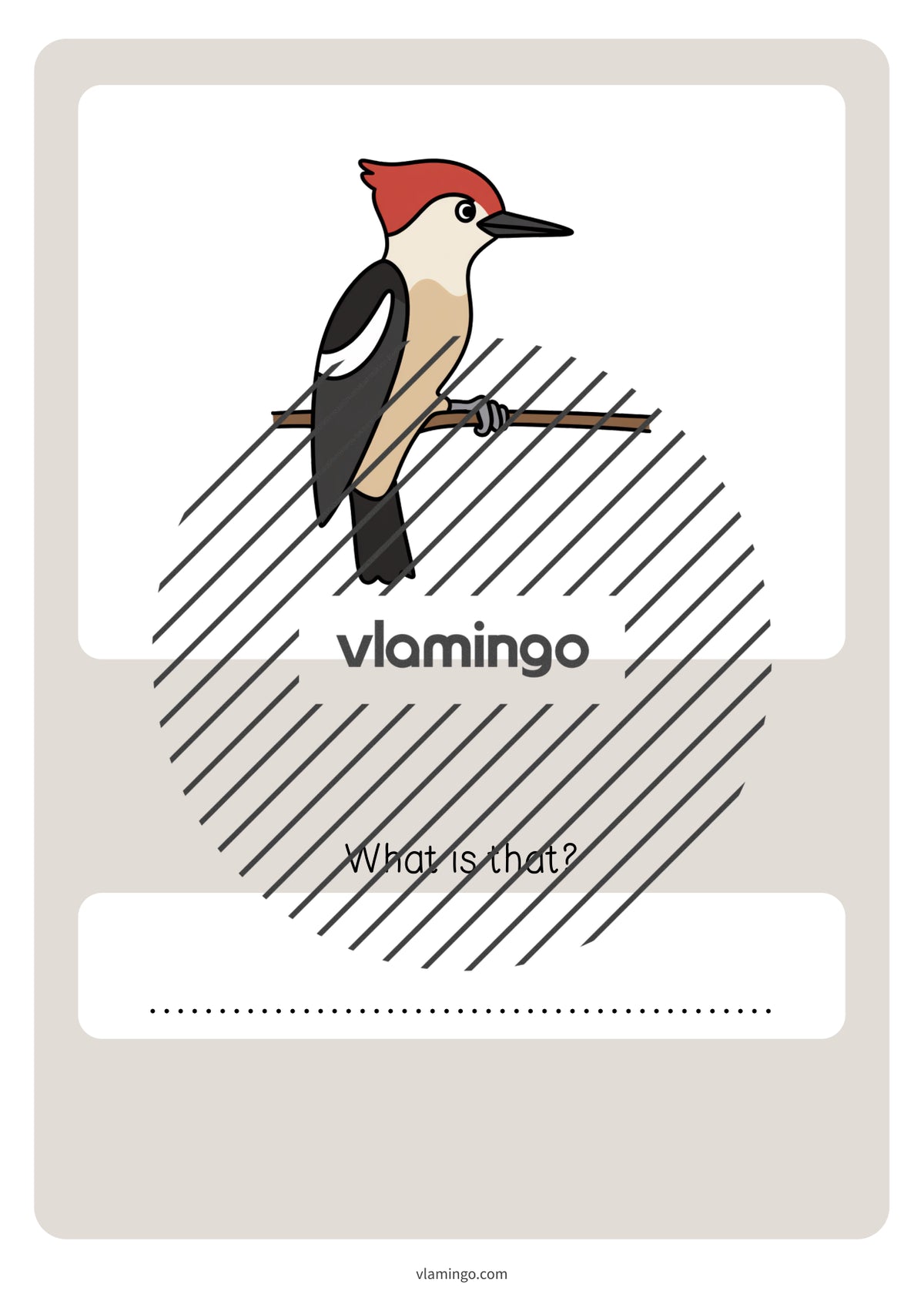 de englisch forest vocabulary quiz 082
