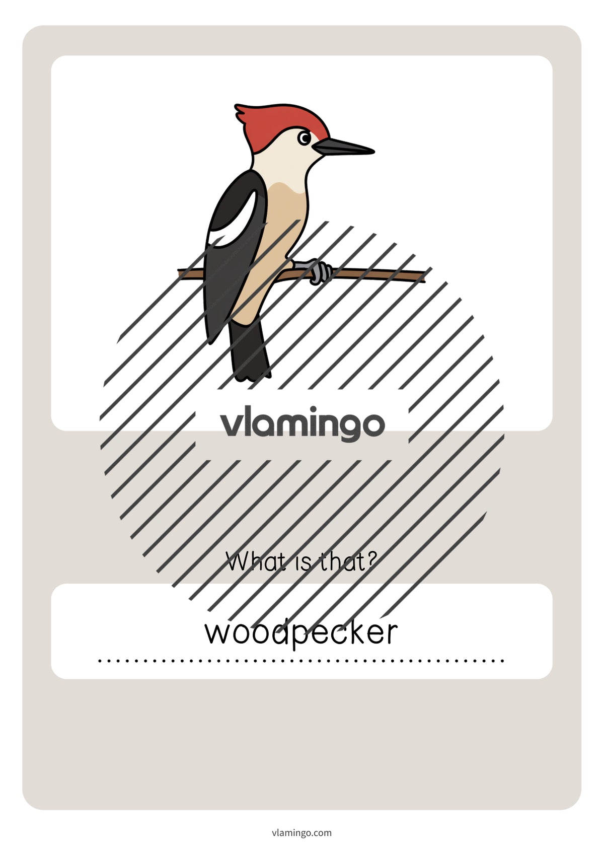 de englisch forest vocabulary quiz 083